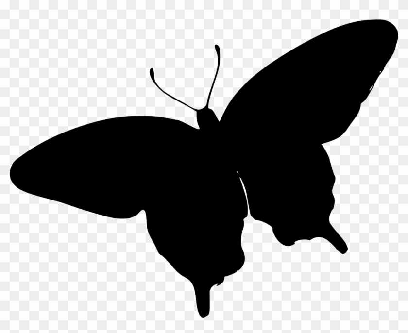Free Free 317 Svg Butterfly Animation SVG PNG EPS DXF File