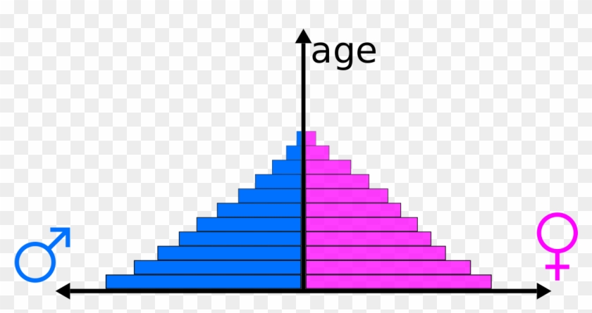 Population Pyramid Hd Png Download 1200x591 3113971 Pngfind