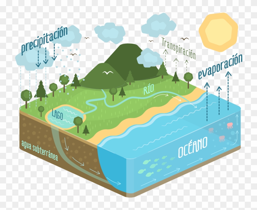 Ciclo Del Agua 3d Water Cycle Diagram, HD Png Download