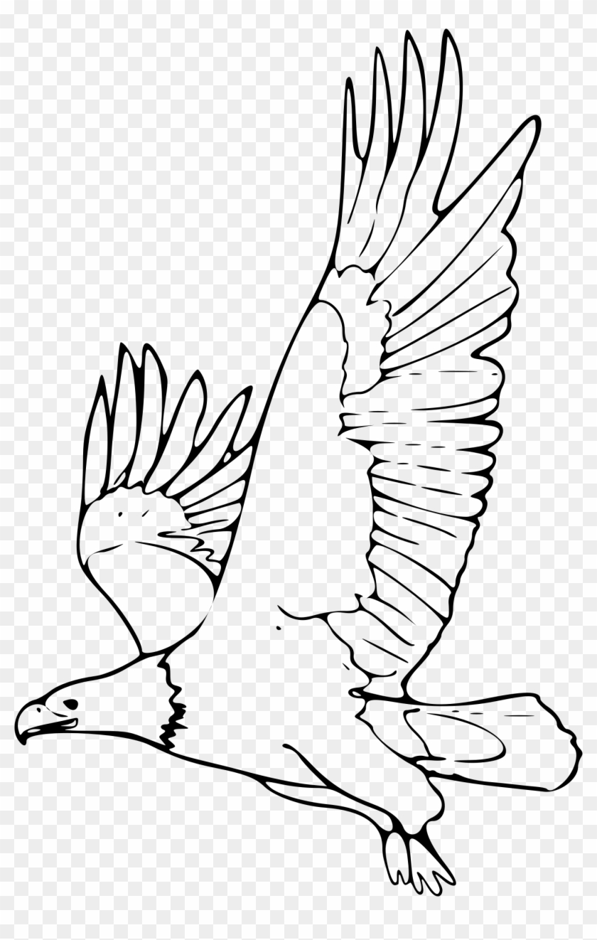 eagle clipart designs