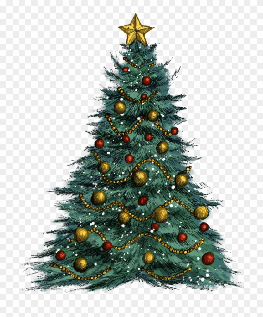 Christmas Tree, HD Png Download - 2518x2874(#3200065) - PngFind