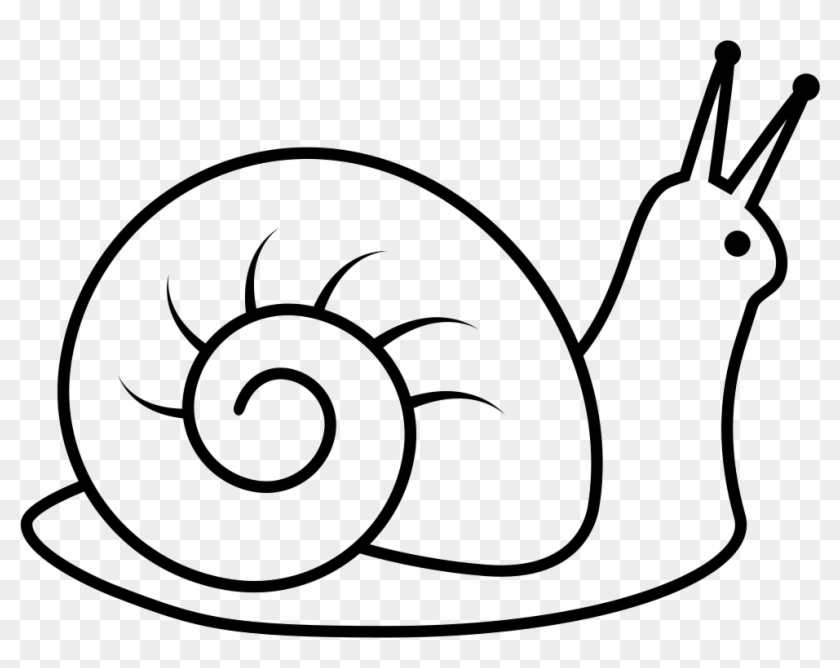 snail black and white clipart