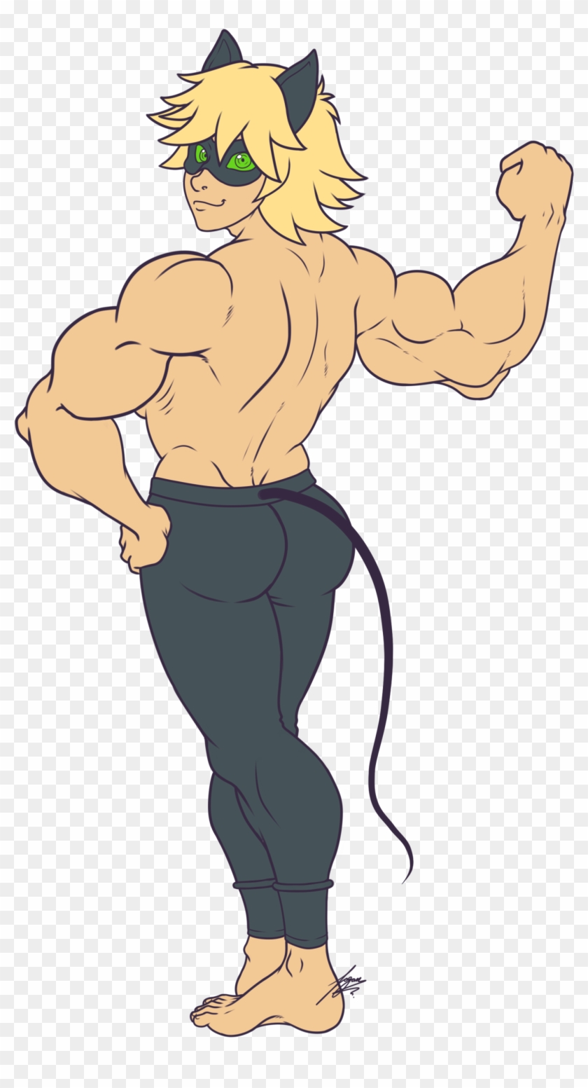 Muscle Chat Noir By Juacamo Dbgtjch Chat Noir Muscle Growth Hd Png Download 1354x2439 Pngfind