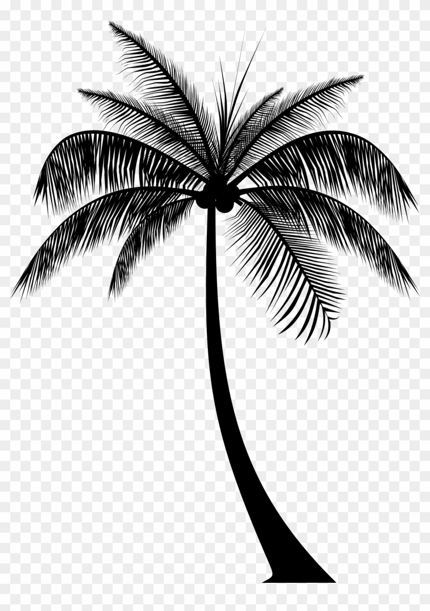 Palm Tree Silhouette - Real Palm Trees Silhouette, HD Png Download ...