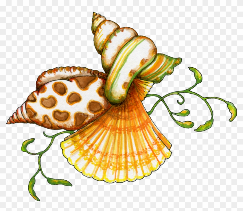 royalty-free-seashell-happy-birthday-errortape-me-sea-shells-clip-art