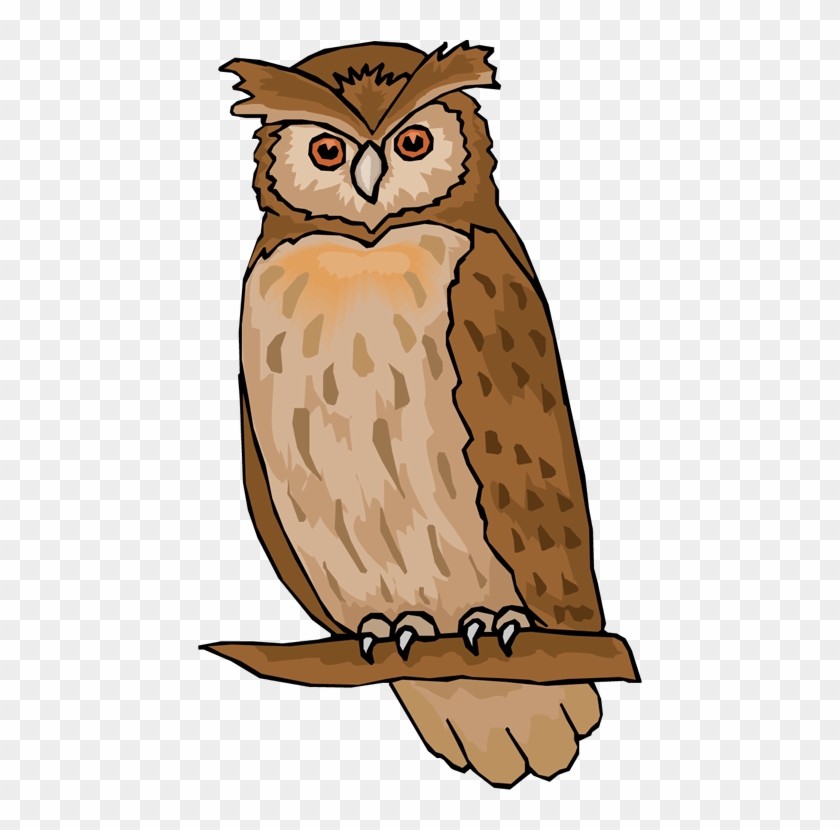 librarian owl clip art