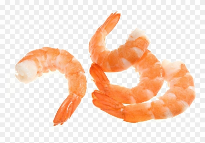 Shrimp Png Image - Shrimp Mixed Species Raw, Transparent Png - 1200x900 ...