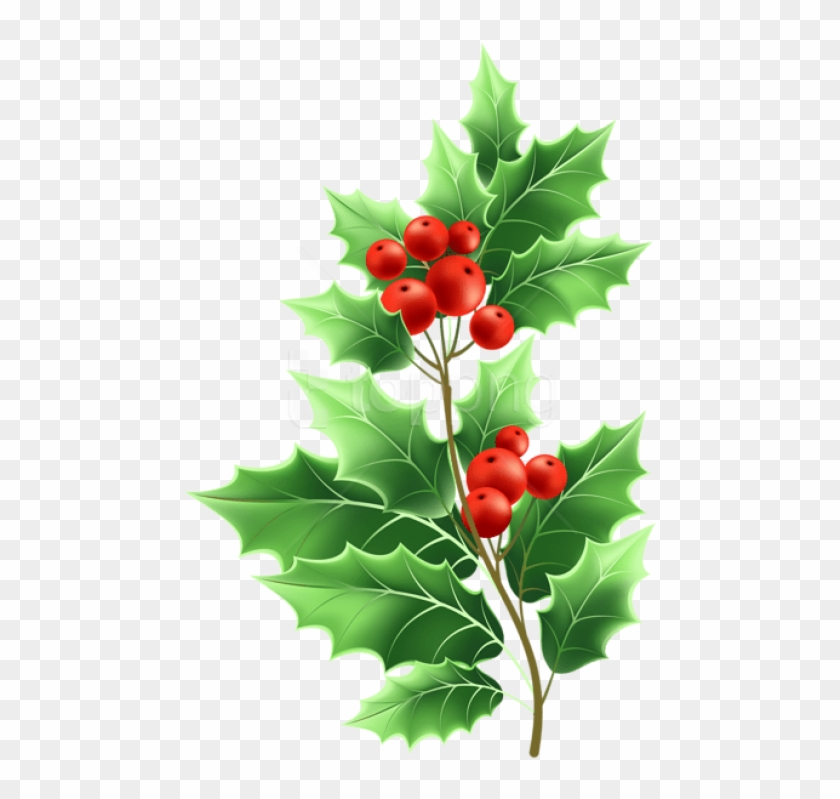 free png christmas mistletoe png transparent background mistletoe transparent png download 480x728 3310238 pngfind free png christmas mistletoe png