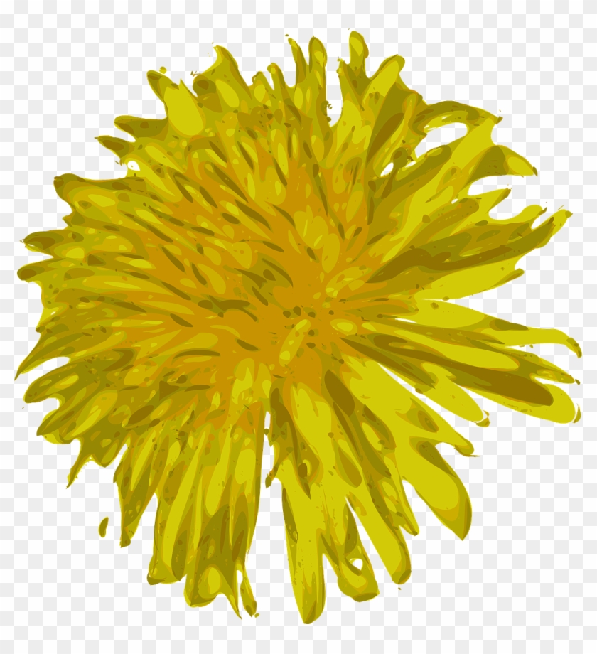 Dandelion Flower Beautiful Wild Png Image - Löwenzahn Png, Transparent