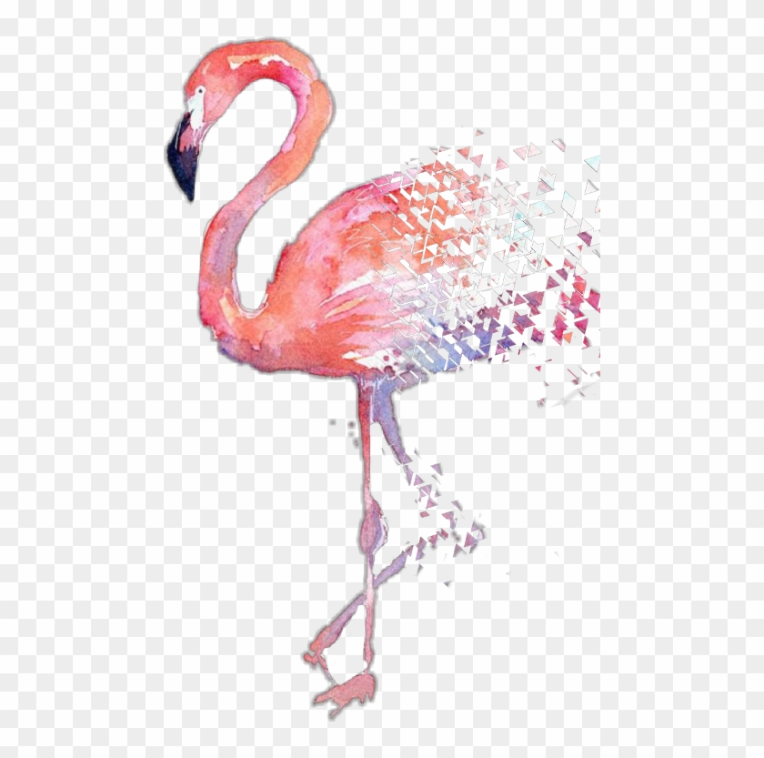 Download Flamingo Watercolor Painting Hd Png Download Flamingo Watercolor Poster Transparent Png 480x753 3376770 Pngfind