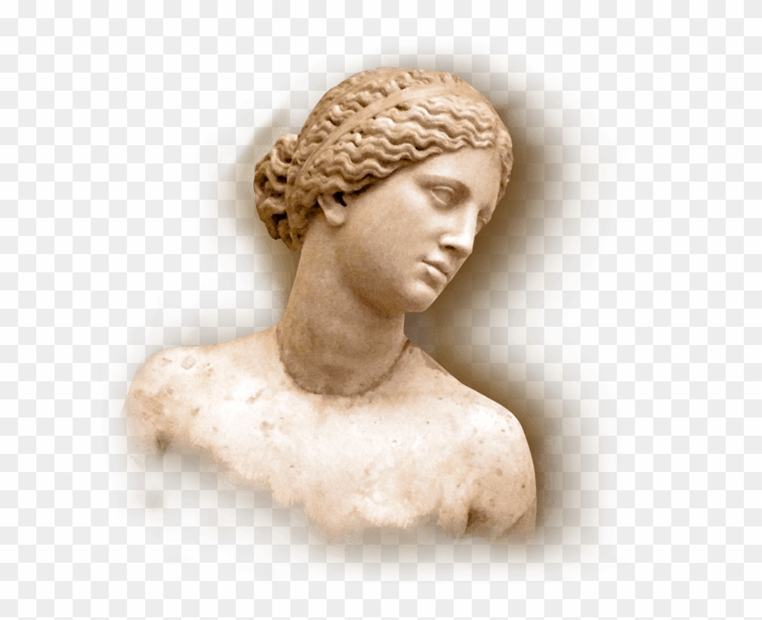 Bust , Png Download - Bust, Transparent Png - 625x603(#3391332) - PngFind