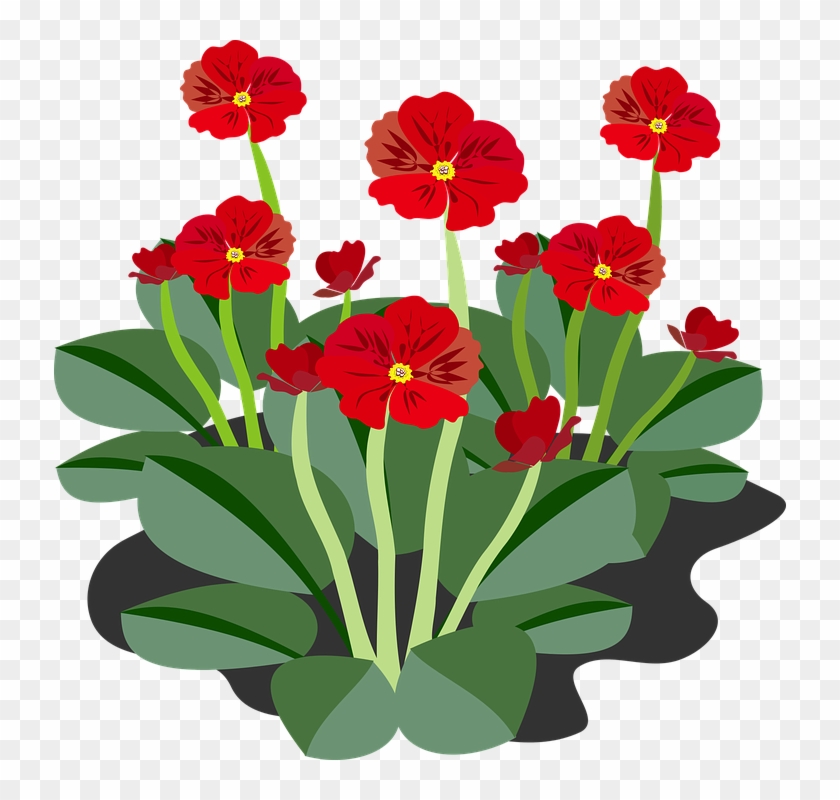 all flowers hd image clipart