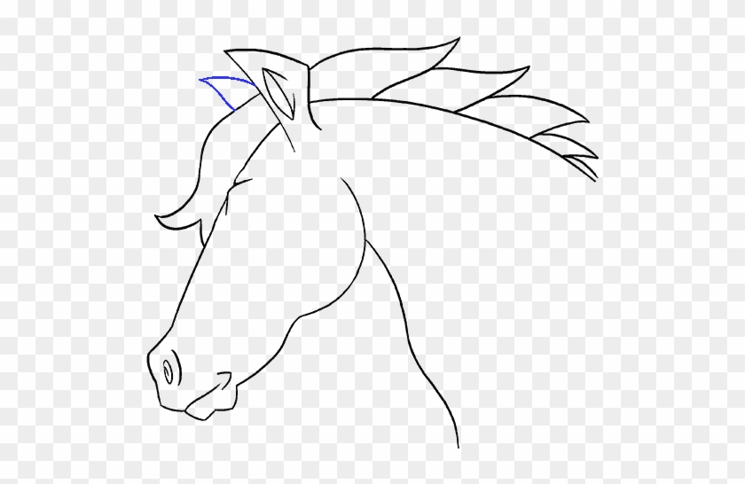 How to Draw a Horse Head: Narrated - YouTube