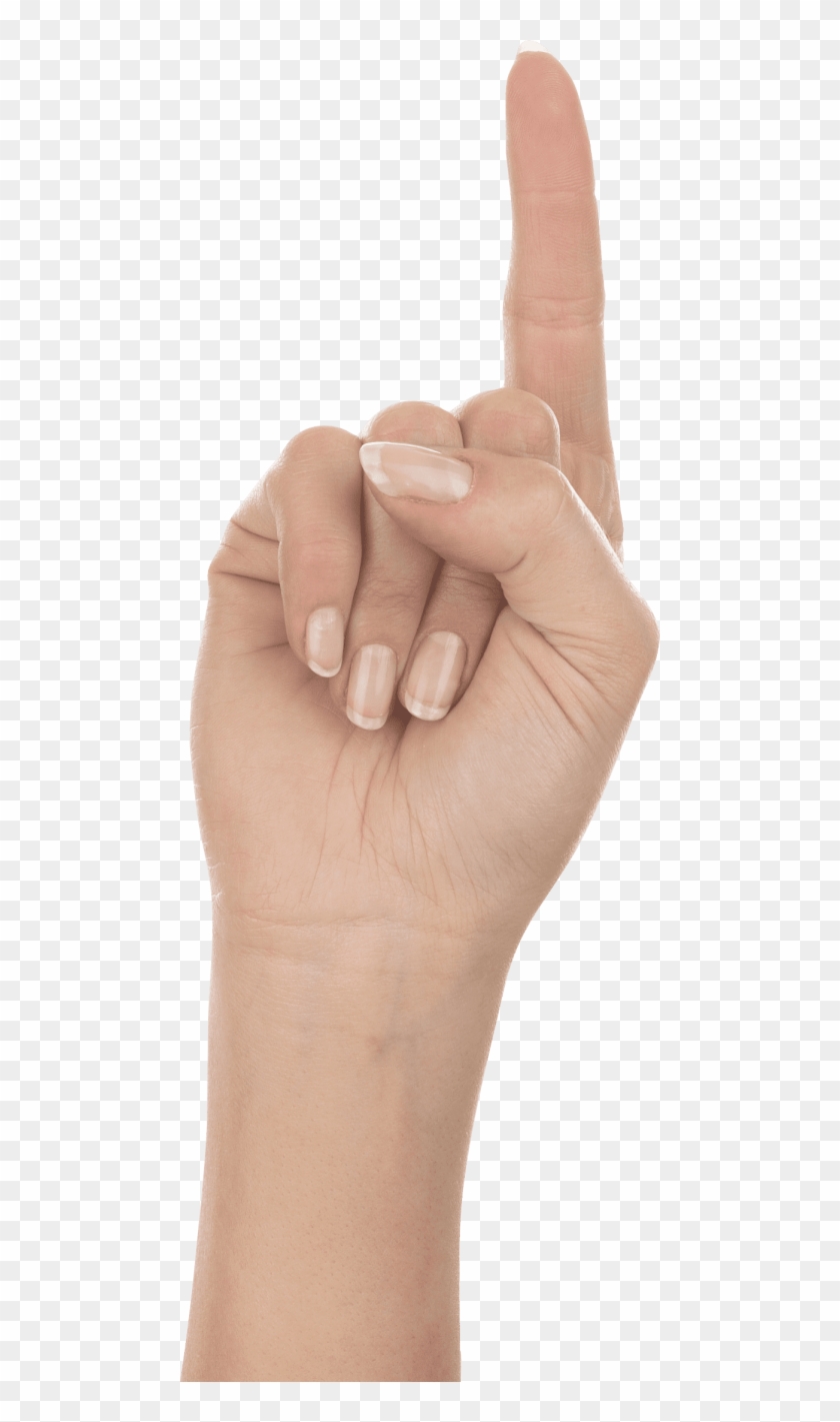 One Finger Hand Png - Hand One Finger Png, Transparent Png - 480x1341