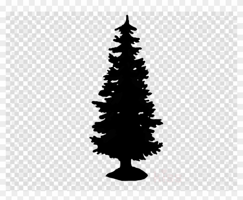 White Spruce Silhouette Clipart Fir Pine Christmas - Tori Vega From ...