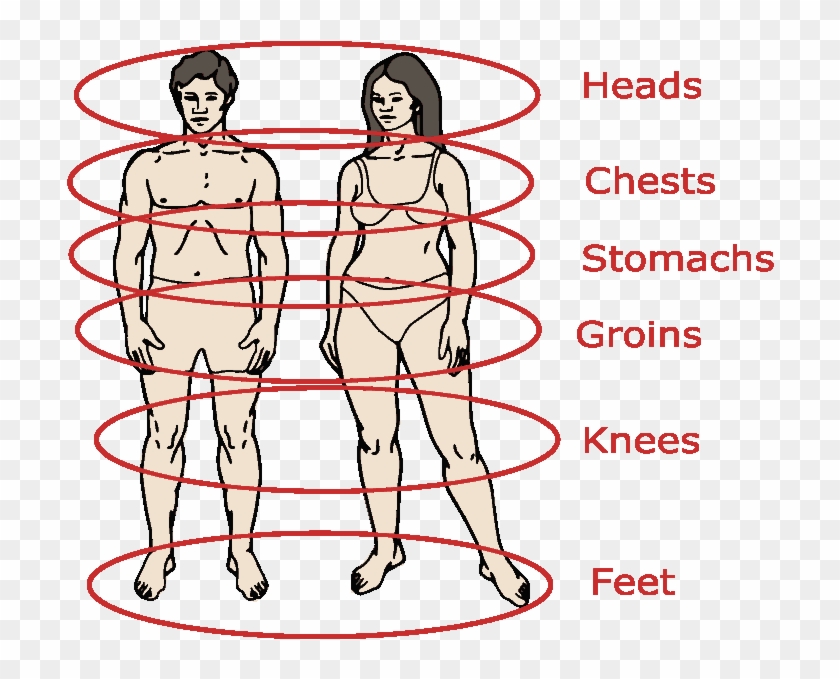 input-plural-body-parts-hd-png-download-800x684-3551434-pngfind