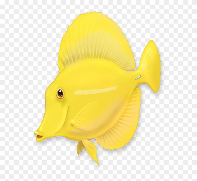 Yellow Tang , Png Download - Coral Reef Fish, Transparent Png - 579x688 ...