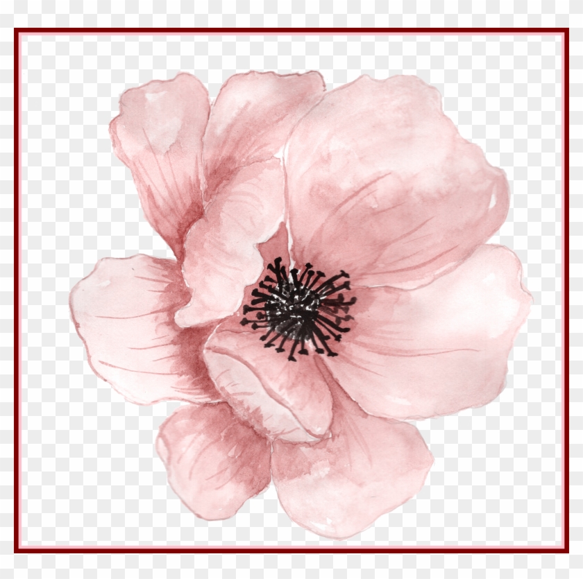 Paint Flower Cliparts Transparent Background Watercolor Flower Png Png Download 10x1734 Pngfind