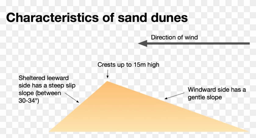 The Characteristics Of Sand Dunes - Sand Dune Diagram, HD Png Download ...