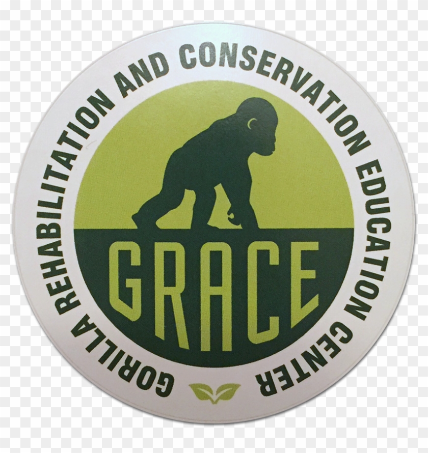 grace-logo-sticker-federal-board-of-intermediate-and-secondary