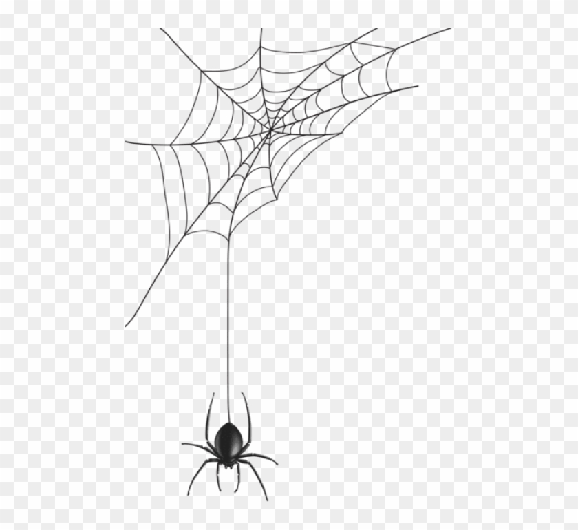 Free Png Download Spider Web Png Images Background Spider Web Halloween Png Transparent Png 480x700 370475 Pngfind