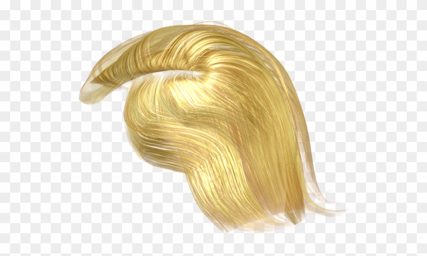 See More Details About The Full 3d Character File Format Trump Hair Png Transparent Png Download 600x600 371472 Pngfind - roblox green hair png