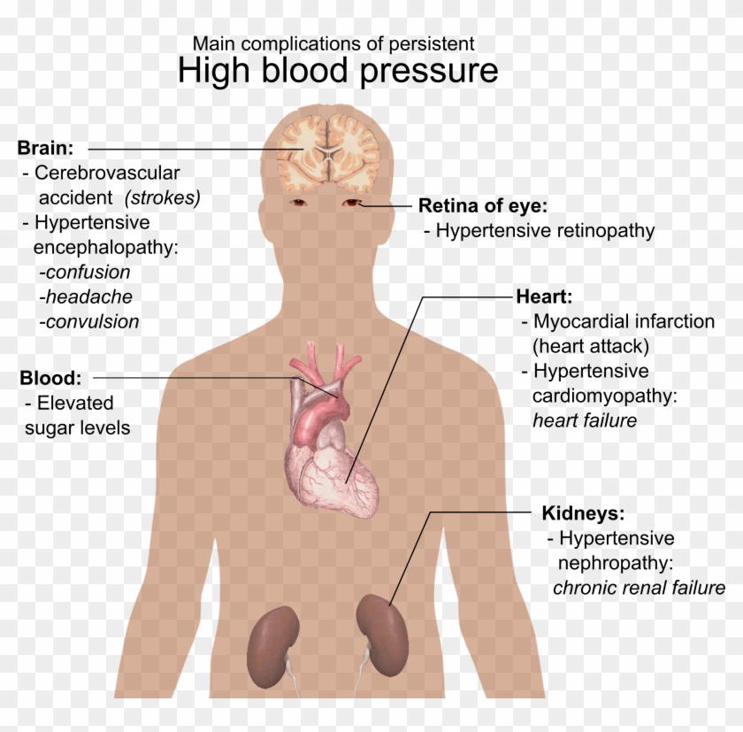 high-blood-pressure-ear-clips-train-the-body-to-decrease-hypertension