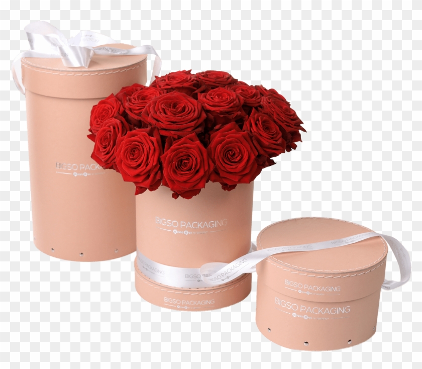 Download Round Sewed Flower Box With Lid - Garden Roses, HD Png ...