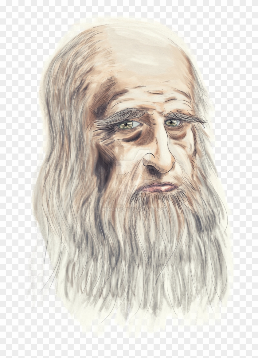 Davinci Drawing Portrait - Sketch, HD Png Download - 726x1100(#3822858) -  PngFind