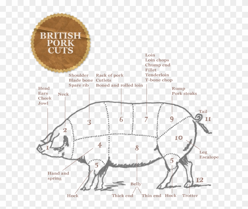 pork drawing beef carcass uk cuts of pork hd png download 660x643 3853892 pngfind pork drawing beef carcass uk cuts of