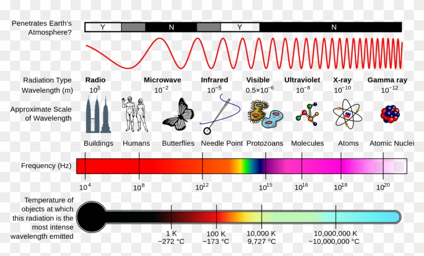 Which Type Of Electromagnetic Wave Has The Longest Wavelength