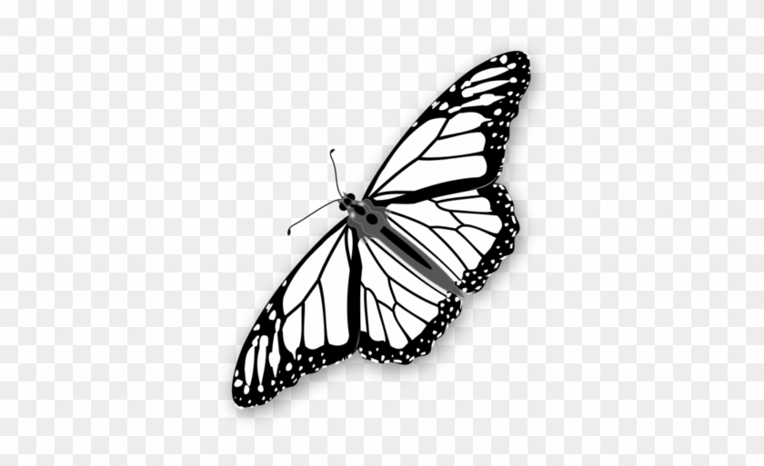 Free Free Butterfly Trail Svg 811 SVG PNG EPS DXF File