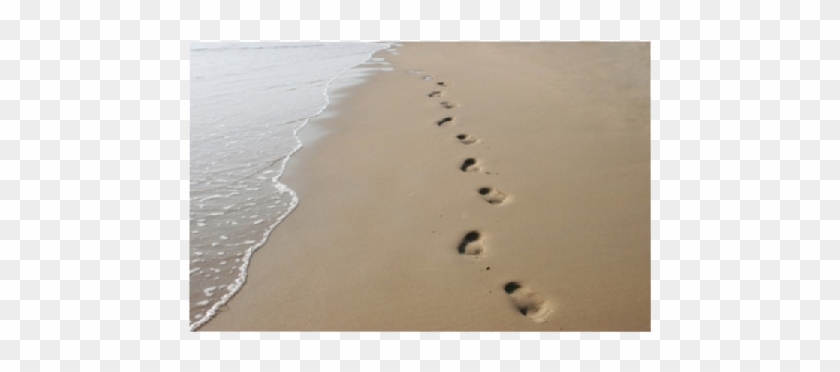 Footprints In Recovery Footprint Hd Png Download 970x387 371 Pngfind