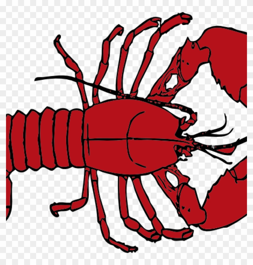 Free Free 91 Svg Friends Lobster Png SVG PNG EPS DXF File