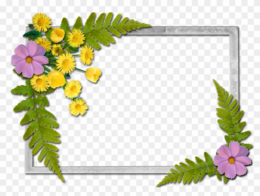 flowers frame dr sarvepalli radhakrishnan in hd hd png download 3510x2480 392559 pngfind dr sarvepalli radhakrishnan in hd hd