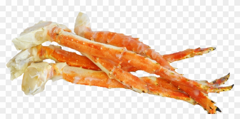 crab legs png crab legs transparent png download 1814x851 3902847 pngfind crab legs transparent png download