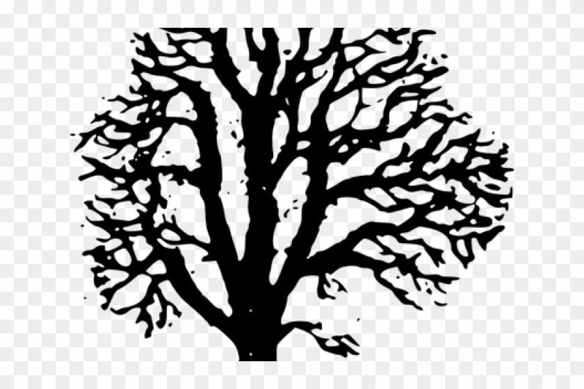 Chestnut Tree Png Black, Transparent Png - 640x480(#3923169) - PngFind