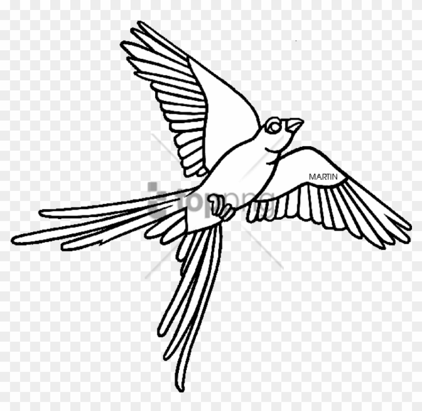 Free Png Oklahoma State Bird Drawing Png Image With Scissor