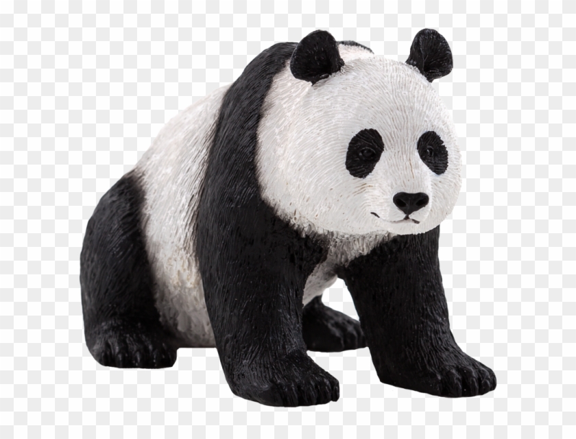 OSO PANDA PNG  Osos pandas dibujo, Pandas, Oso panda