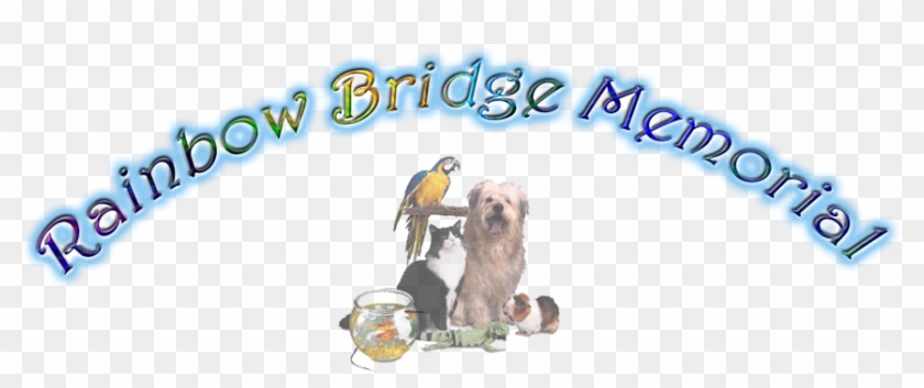 Rainbow Bridge Dog Angel Png, Transparent Png - 900x342(#3991466) - PngFind