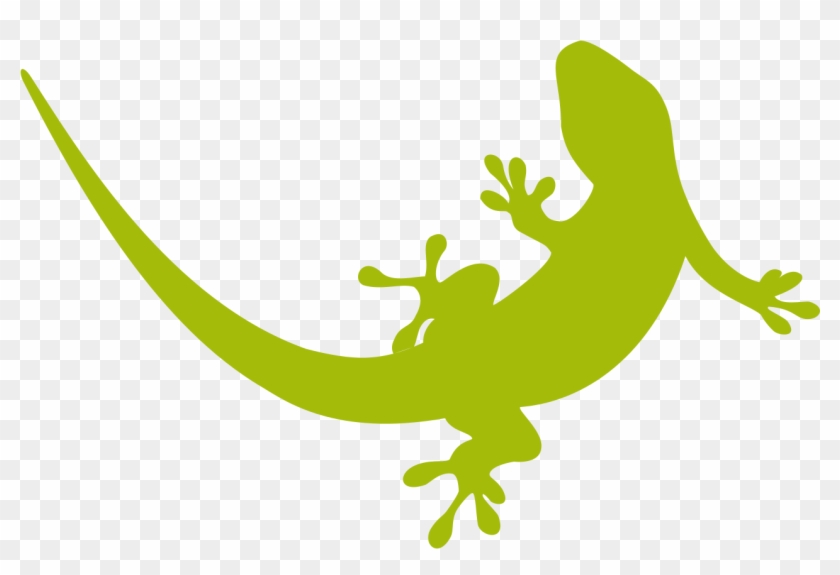 1280 X 821 5 - Transparent Background Lizard Clipart, HD Png Download ...