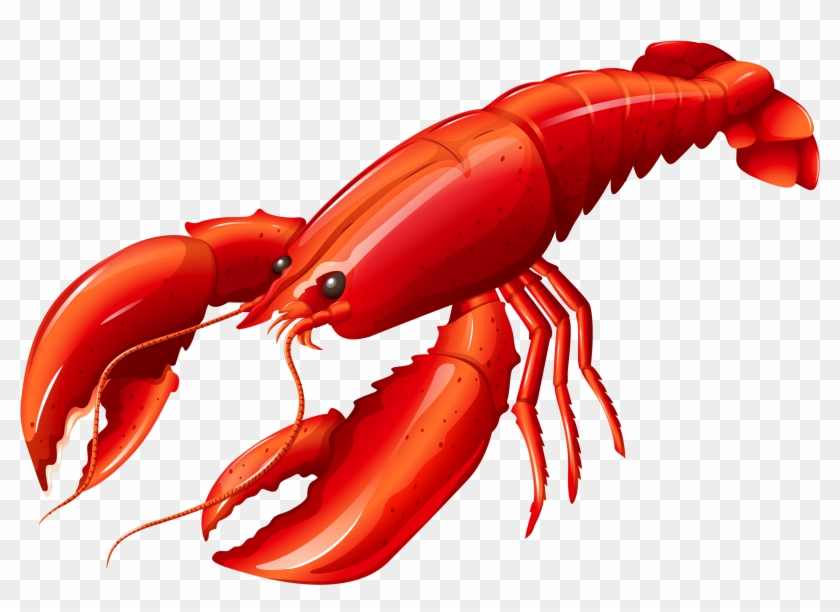 Louisiana Clipart Lobster Lobster Clipart Hd Png Download 2560x1793 43826 Pngfind