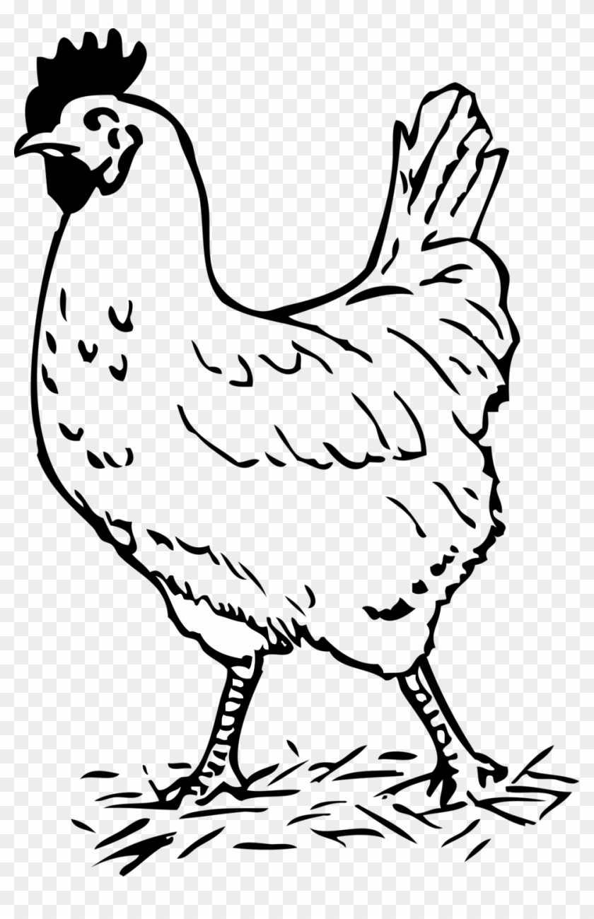Picture Of A Rooster - Hen Images Black And White, HD Png Download ...