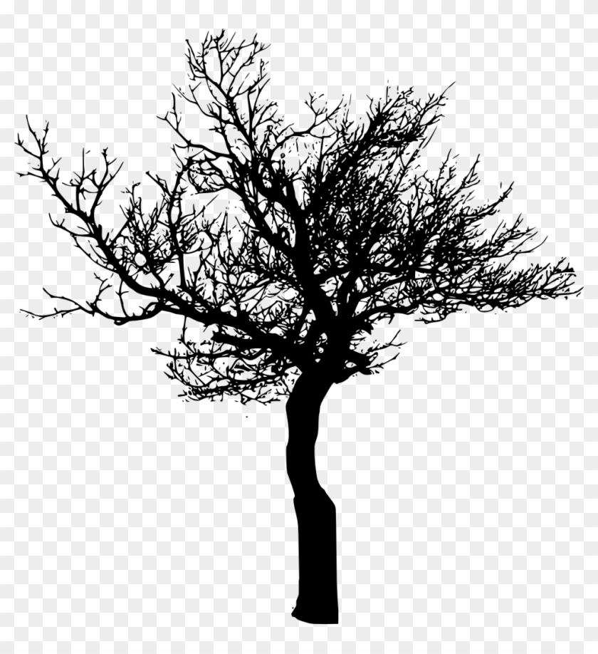 10 Tree Silhouettes - Tree Silhouette Transparent Background, Hd Png 