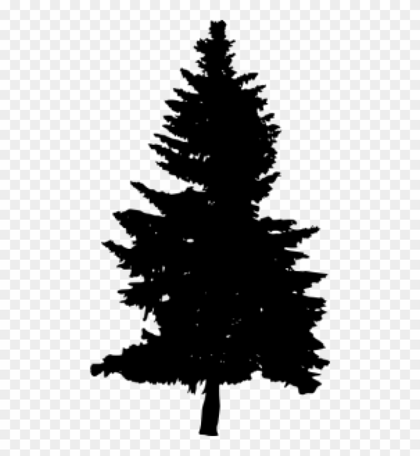 Free Png Pine Tree Silhouette Png Images Transparent - Forest Tree ...