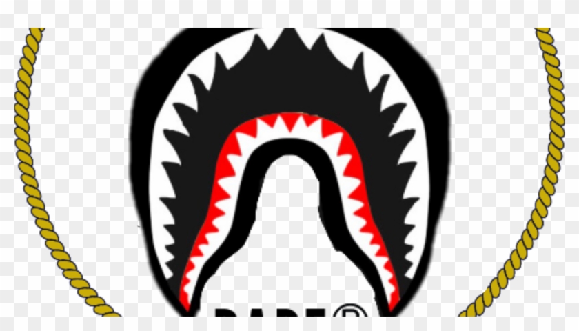 Bape Shark Logo Png Transparent Png 1024x537 49938 Pngfind - transparent bape t shirt roblox