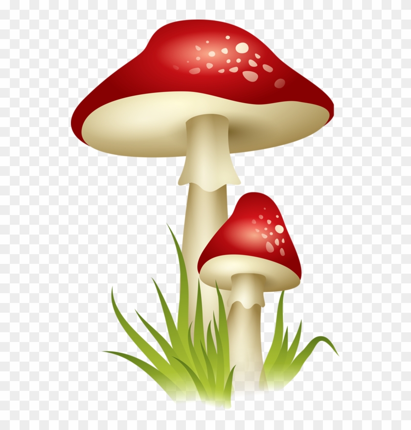 Featured image of post Mario Brown Mushroom Png 2 3d design wall background angle brown png