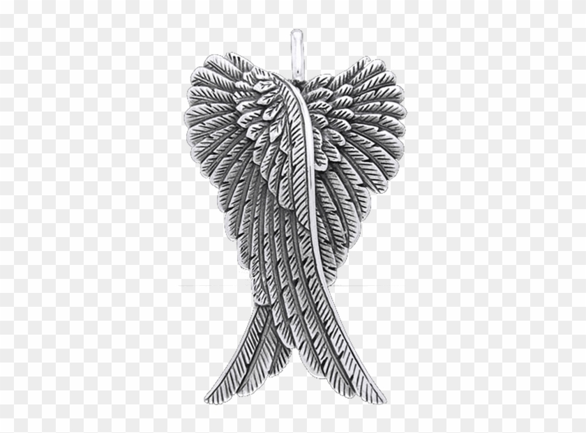 Angel Wings, HD Png Download - 555x555(#412786) - PngFind