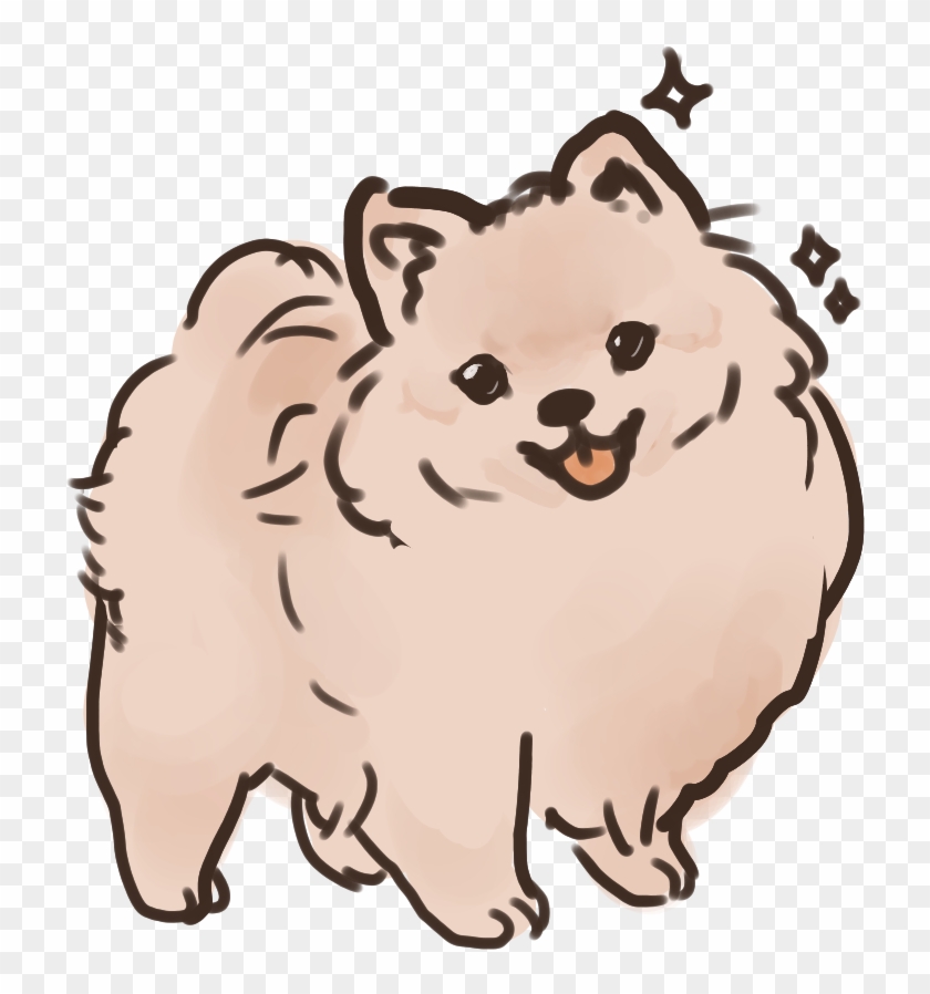 Please Look At This Transparent Dog I Drew - Cute Pomeranian Cartoon