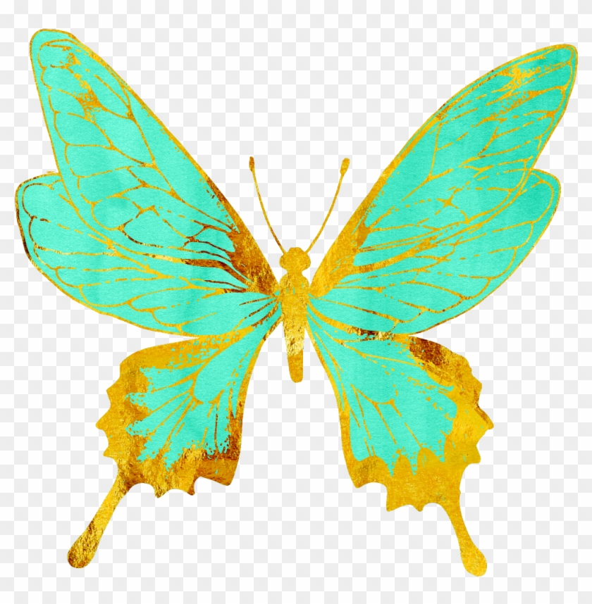 Butterflies Butterfly Pastel Teal Gold Golden Pink Gold Butterfly Png Transparent Png 1024x1024 Pngfind